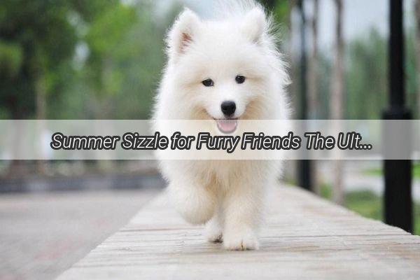 Summer Sizzle for Furry Friends The Ultimate Guide to DogFriendly Meats